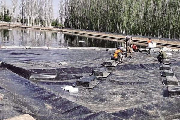 HDPE Geomembrane Case