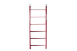 Steel Access Ladder