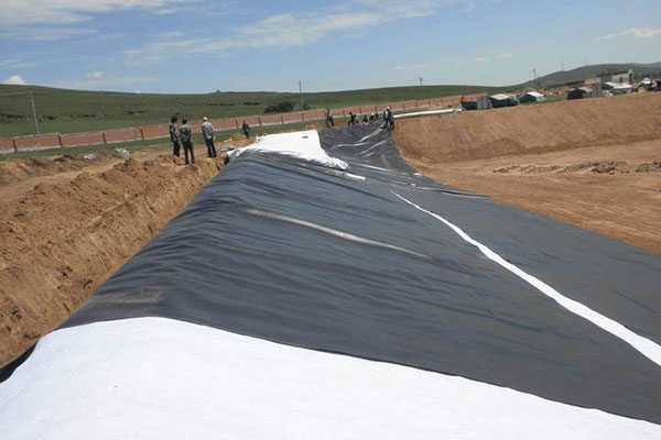 Geomembrane vs Geotextile: Key Differences