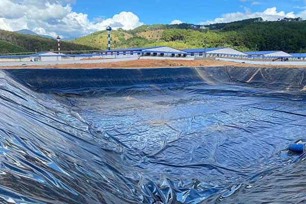 Why Is HDPE Geomembrane So Widely Used